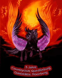 Video Country Club Quedlinburg